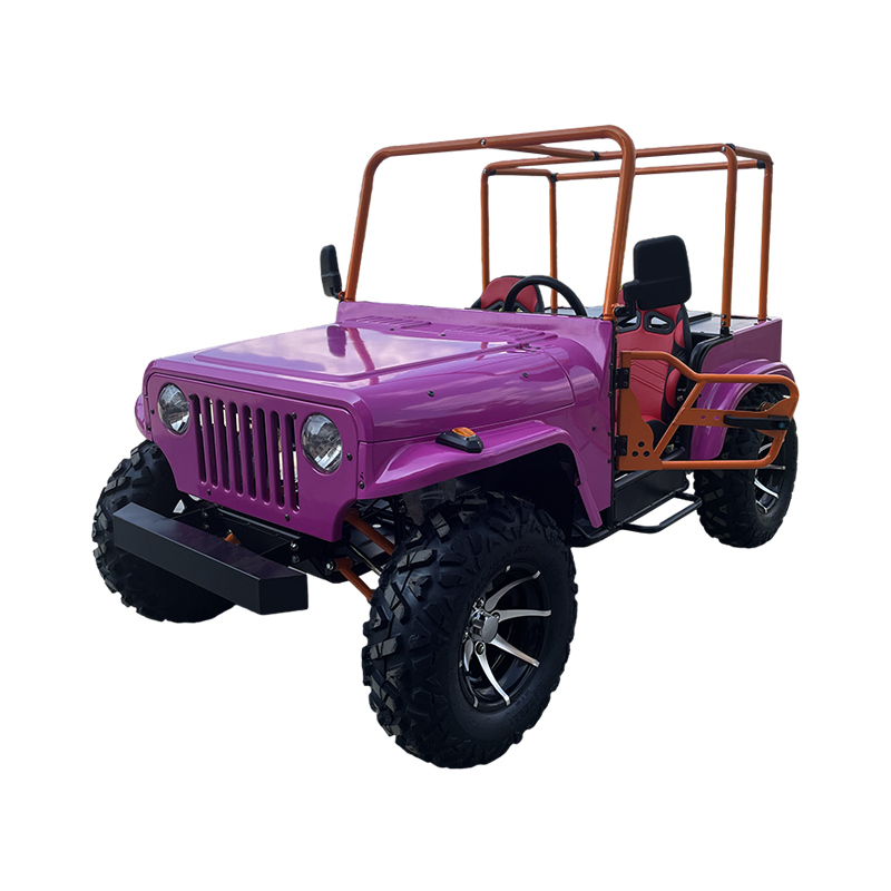Leisure Mini Convertible Jeep UTV con barandilla