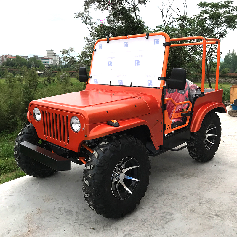 Leisure Mini Convertible Jeep UTV con barandilla