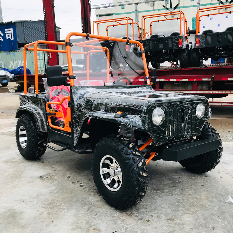 Leisure Mini Convertible Jeep UTV con barandilla