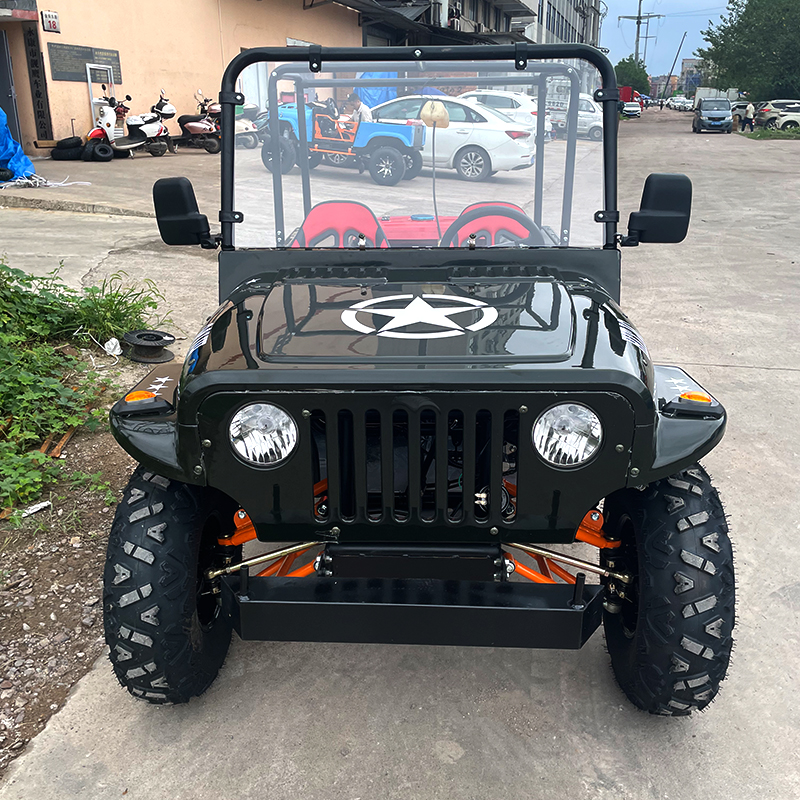Leisure Mini Convertible Jeep UTV con barandilla