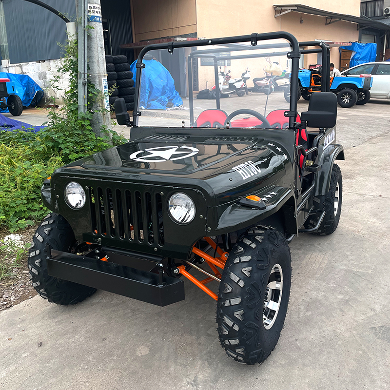 Leisure Mini Convertible Jeep UTV con barandilla