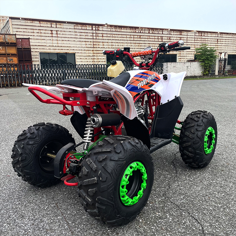 Recreativo todo terreno ATV todoterreno