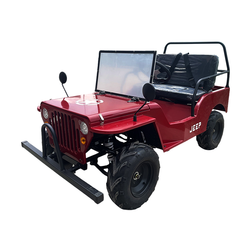 Jeep eléctrico Pequeño entretenimiento y vehículos de ocio