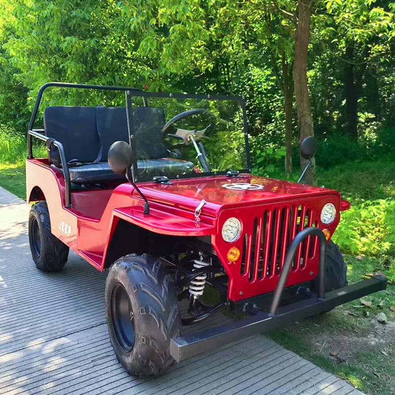 Jeep eléctrico Pequeño entretenimiento y vehículos de ocio