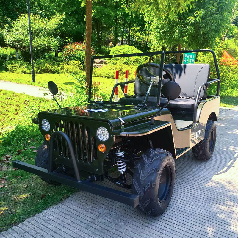 Jeep eléctrico Pequeño entretenimiento y vehículos de ocio