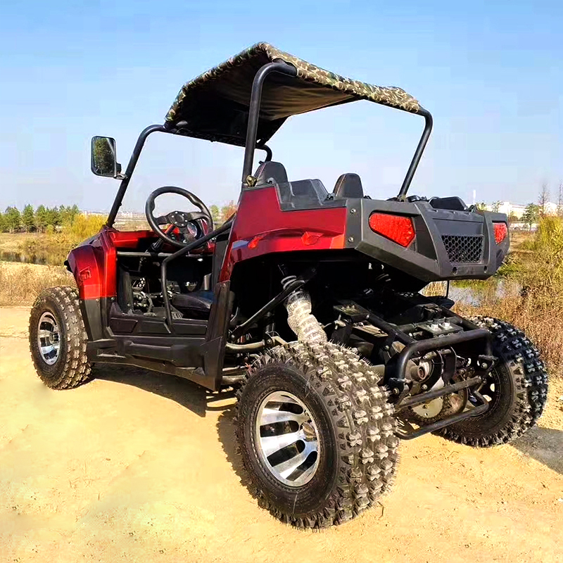 UTV fuera de carretera multifuncional de lado a lado para adultos