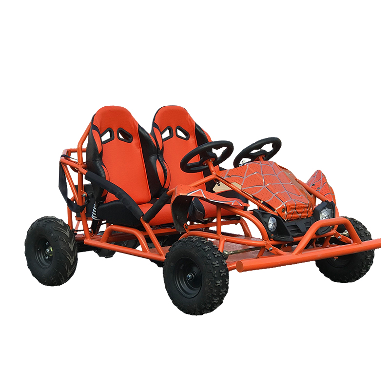 Go-kart de largo alcance eléctrico de dos plazas